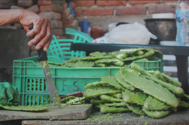 Inicia en Zapopan la décima edición de la Feria del Nopal San Esteban 2018