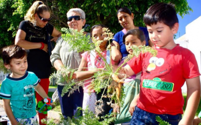 Huertos urbanos disminuyen contaminación y efectos del cambio climático