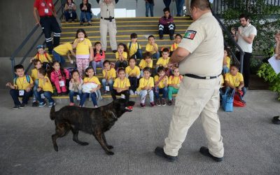 ‘Casa llena’ en Cursos Verano Zapopan 2018