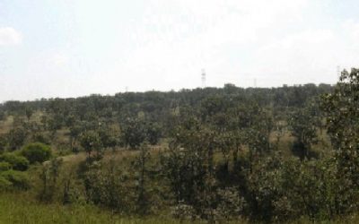 Pese a observaciones, Semadet valida proceso para elaborar el Programa de Ordenamiento Ecológico Local de Zapopan