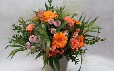 DIF Zapopan abre convocatoria para cursos de Herbolaria y Floristería