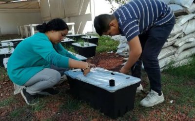 Inicia DIF Zapopan curso de Huertos Urbanos en el Centro Kokone San Juan de Ocotán