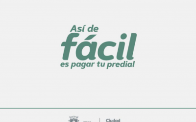 Registra Zapopan tendencia a la alza en pago de predial; ofrece más de 50 opciones para cumplir con el impuesto