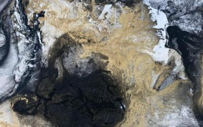 Llega a Zapopan exposición pictórica del artista Soltero