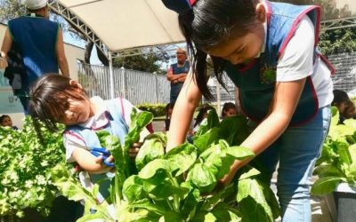DIF Zapopan implementa programa de Huertos Urbanos en Centros de Desarrollo Infantil
