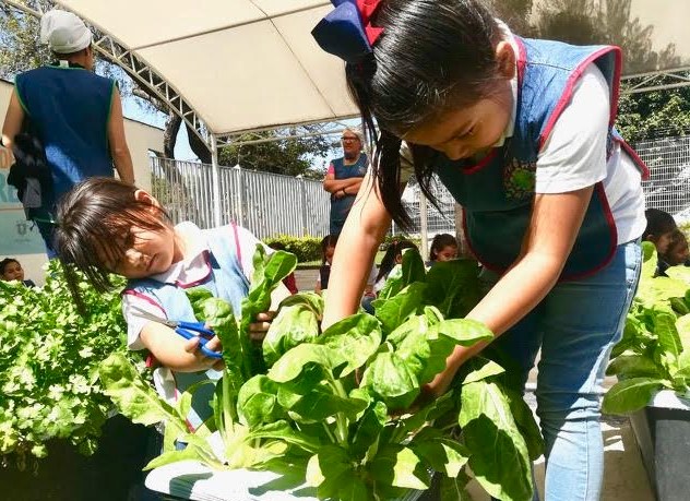 DIF Zapopan implementa programa de Huertos Urbanos en Centros de Desarrollo Infantil