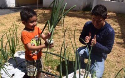 Niños del Centro de Autismo de DIF Zapopan cosechan huertos urbanos