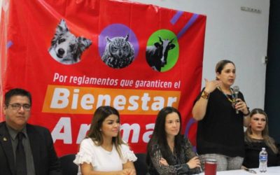 Busca Zapopan armonizar y actualizar Reglamento de Sanidad, Protección y Trato Digno para los Animales
