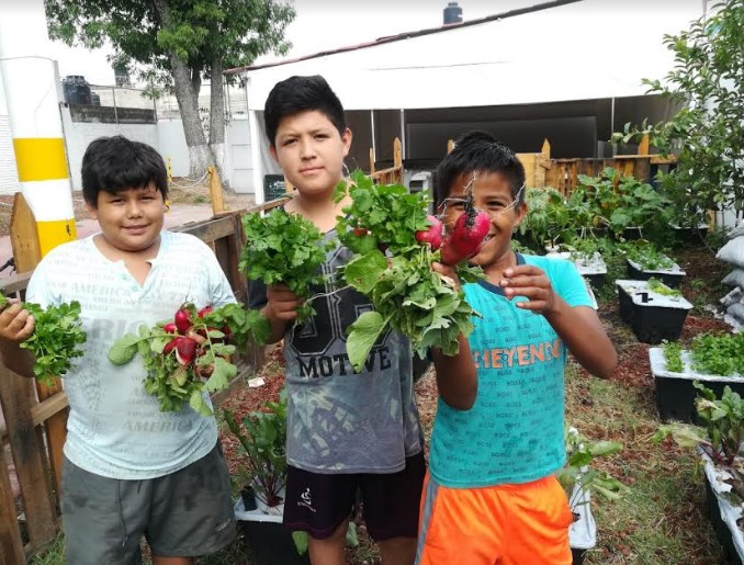 Capacita DIF Zapopan a niños y niñas sobre huertos urbanos