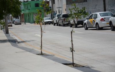 Entrega Zapopan pavimentación en concreto hidráulico en la colonia Miramar