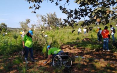 Avanza campaña de reforestación 2019 en Zapopan