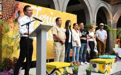 Se consolida Zapopan como un Municipio protector y promotor del cuidado de las abejas
