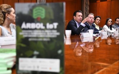 Llega a Zapopan plataforma digital para recolectar información del arbolado urbano