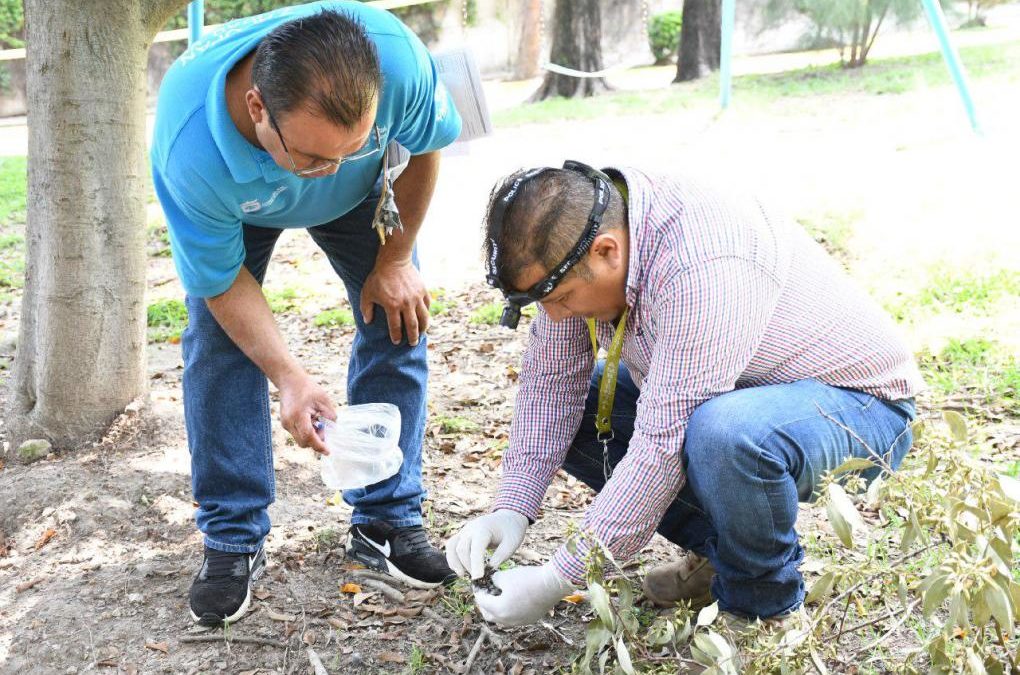 Presenta Zapopan denuncia ante Fiscalía de Jalisco por muerte de aves