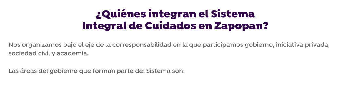 Nos organizamos bajo el eje de la corresponsabilidad en la que participamos gobierno, iniciativa privada, sociedad civil y academia. 